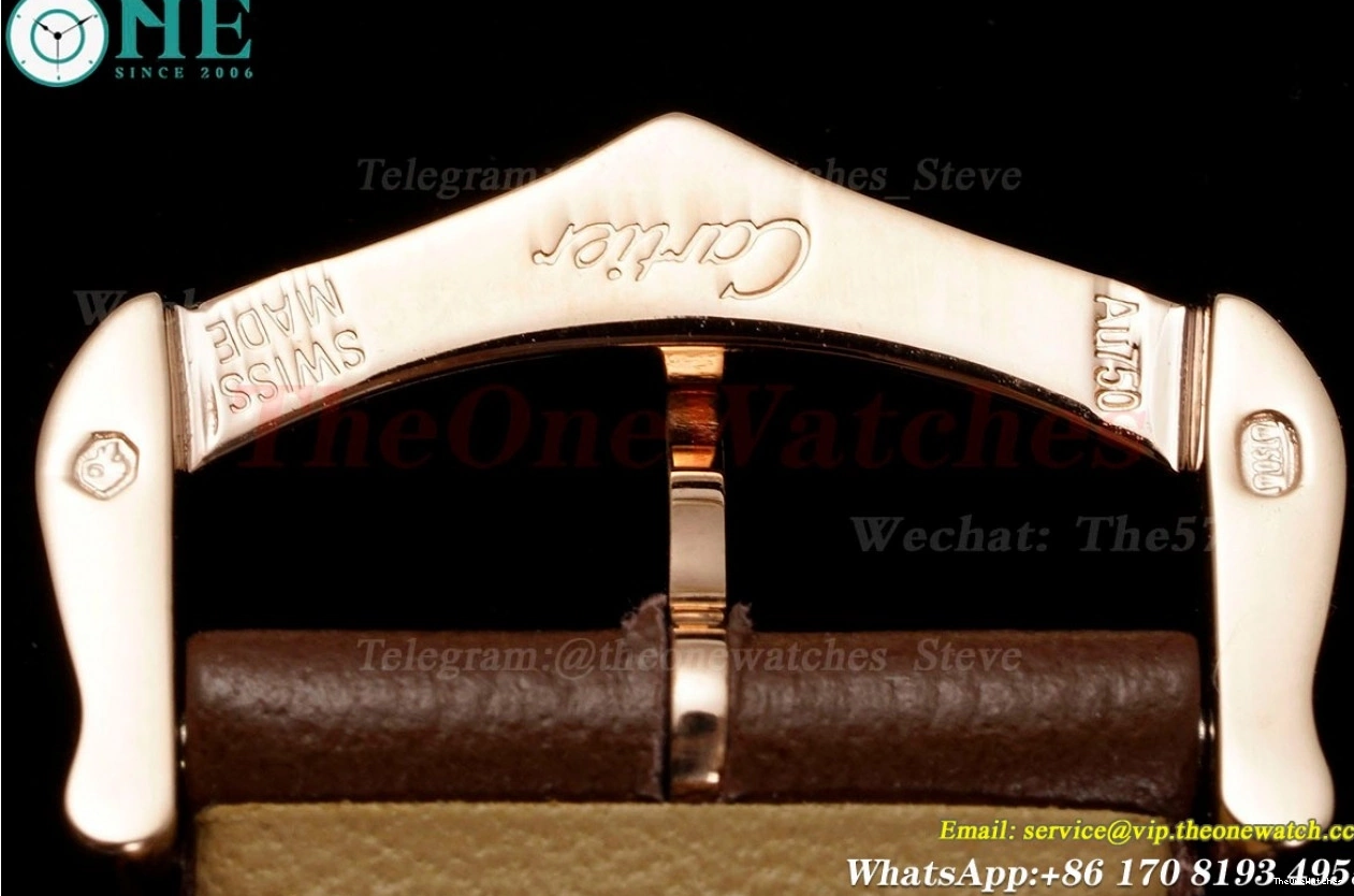 Dumont Dial Silver Brown Santos Quartz LE RG AF Dia 0313